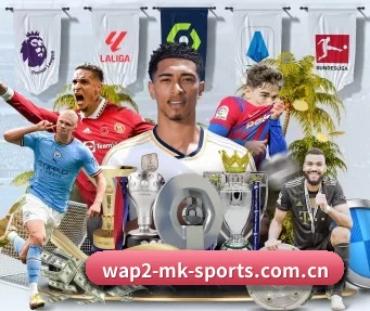 mk mksport体育官网入口 APP 界面