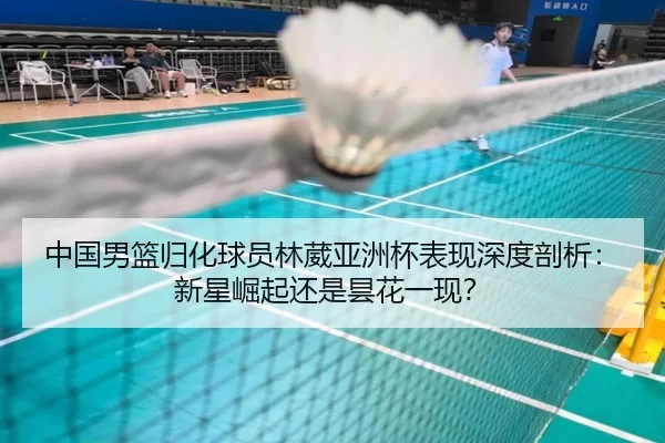 中国男篮归化球员林葳亚洲杯表现深度剖析：新星崛起还是昙花一现？